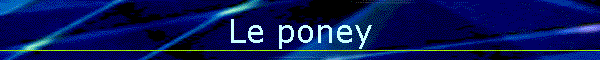 Le poney