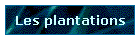 Les plantations
